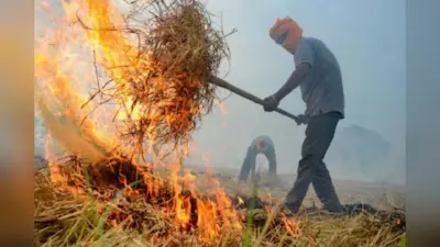 Bihar: नालंदा में किसान को पराली जलाना पड़ा महंगा, प्रशासन ने दर्ज कराया FIR