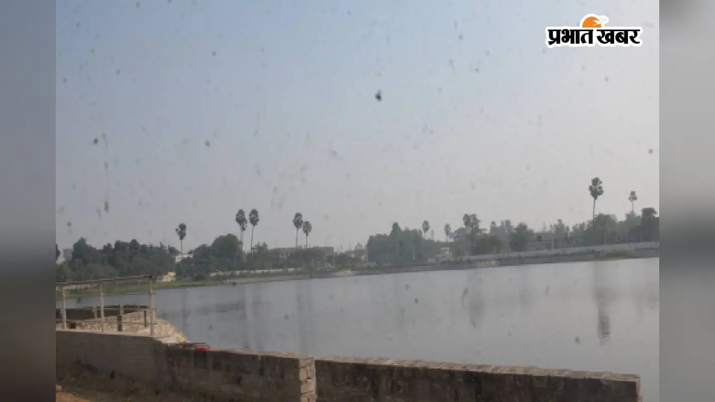 Bhagalpur News : 6 महीने बाद फिर शुरू हुआ भैरवा तालाब का सौंदर्यीकरण, जानें कब होगा पूरा