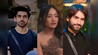 Bigg Boss 18 Educational Qualifications: विवियन डीसेना से लेकर अविनाश मिश्रा तक, कितने पढ़े-लिखे हैं आपके फेवरेट कंटेस्टेंट्स