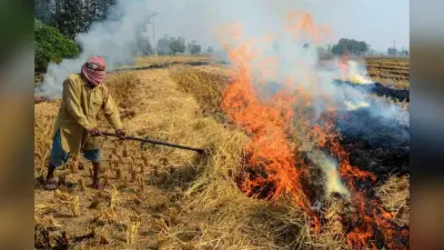Bihar News: किसान को पराली जलाना पड़ा महंगा, सैटेलाइट से ली गई फोटो, FIR दर्ज