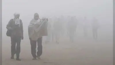 Muzaffarpur Weather: सुबह-शाम ठंड का एहसास, कोहरे ने बढ़ाई कनकनी, जानिए आज का वेदर रिपोर्ट