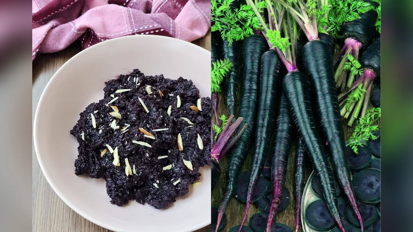 Black Carrot Halwa Recipe: क्या आपने काली गाजर का हलवा ट्राई किया है? जानें ये रेसिपी