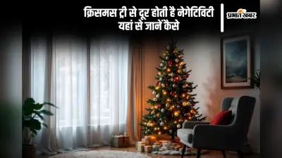 Christmas 2024 Tree Vastu Tips: क्रिसमस ट्री से खत्म होगी नेगेटिविटी, घर में रखने से होते हैं ये फायदे, जानें
