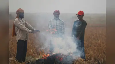 Cold Wave: दिल्ली में अगले कुछ दिनों में ठंड की दस्तक, तापमान में गिरावट का अनुमान