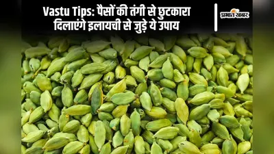 Vastu Tips: पैसों की तंगी से छुटकारा दिलाएंगे इलायची से जुड़े ये उपाय