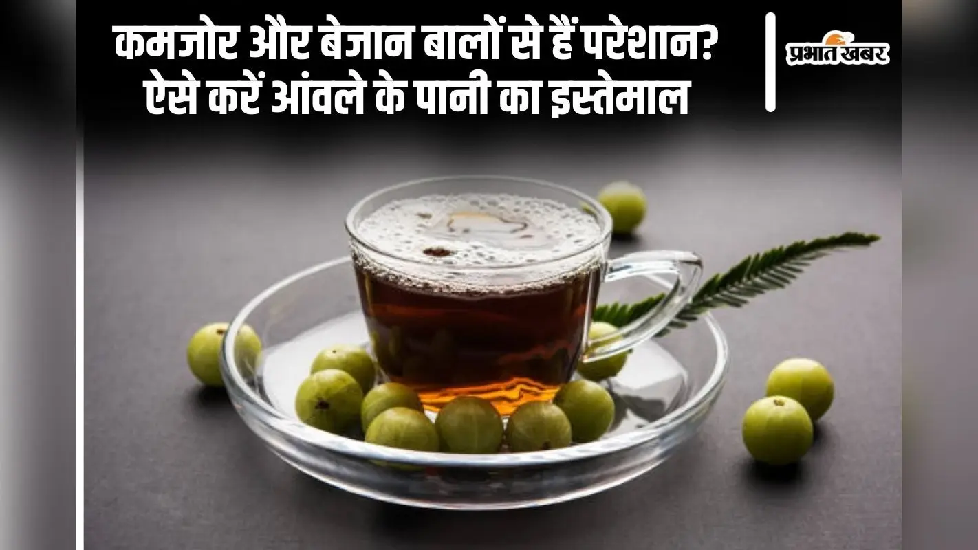 Hair Care Tips: कमजोर और बेजान बालों से हैं परेशान? ऐसे करें आंवले के पानी का इस्तेमाल