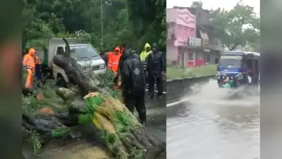 Cyclone Fengal Tracker: चक्रवात फेंगल का कहर, चेन्नई और पुडुचेरी में भारी तबाही, उड़ानें प्रभावित, देखें Video