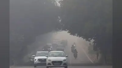 Delhi AQI: दिल्ली NCR में प्रदूषण का कहर, GRAP-4 लागू होने से इन चीजों पर लगी रोक