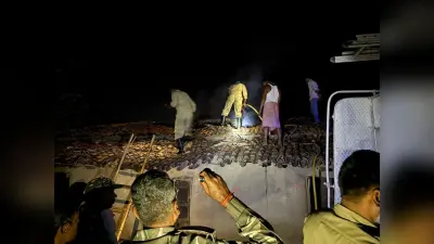 Giridih News : पटाखे की चिंगारी से खपरैल घर में लगी आग