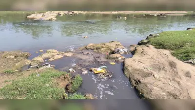 Giridh News :छठ घाटों में पसरी है गंदगी, उसरी नदी में गिर रहा है नालों का पानी