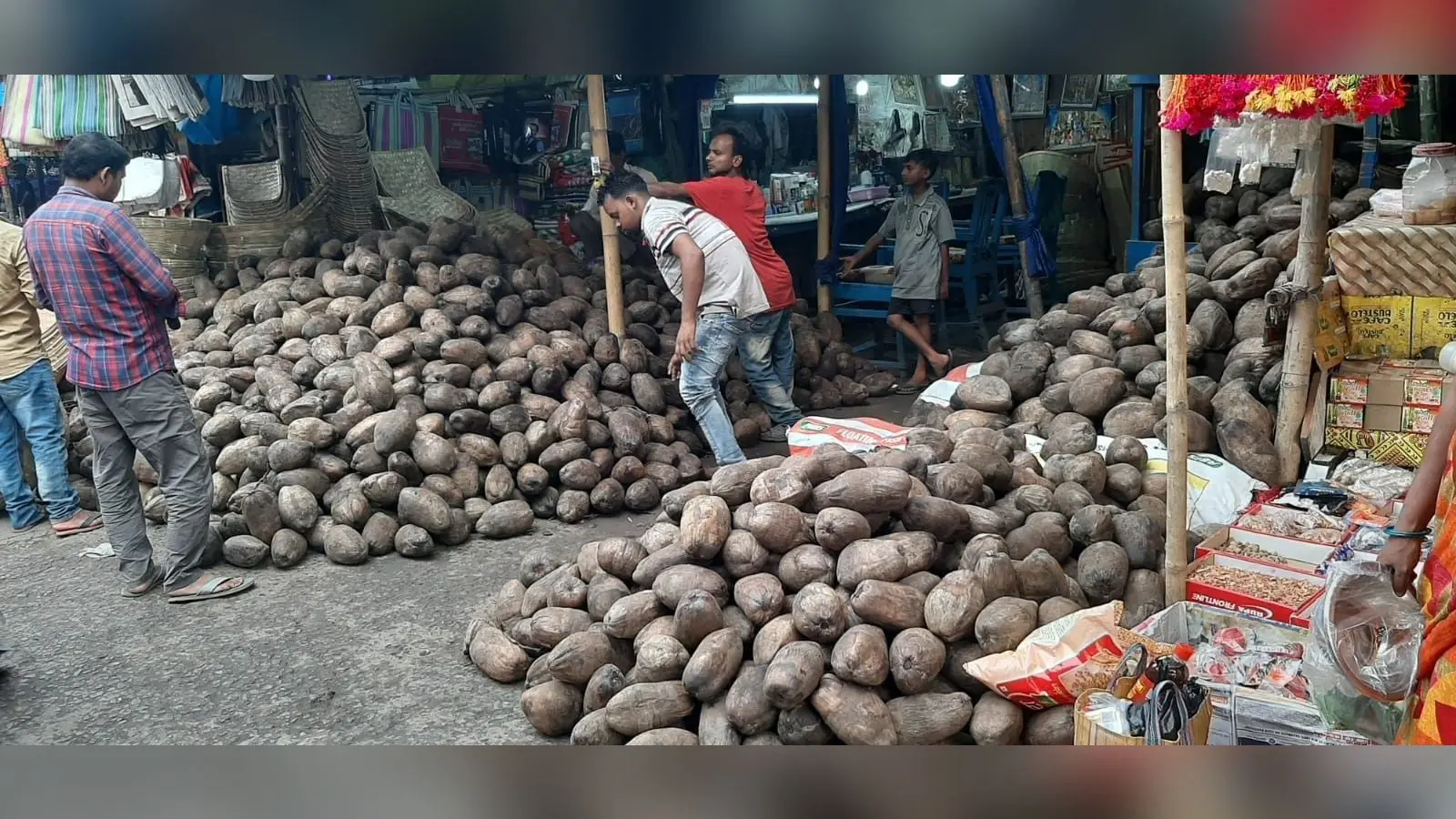खुश्कीबाग से नेपाल समेत सीमांचल के बाजारों में भेजा जा रहा छठ का नारियल