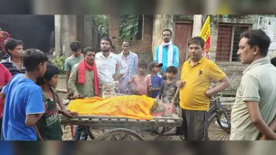 करंट की चपेट में आने से बंदर की मौत