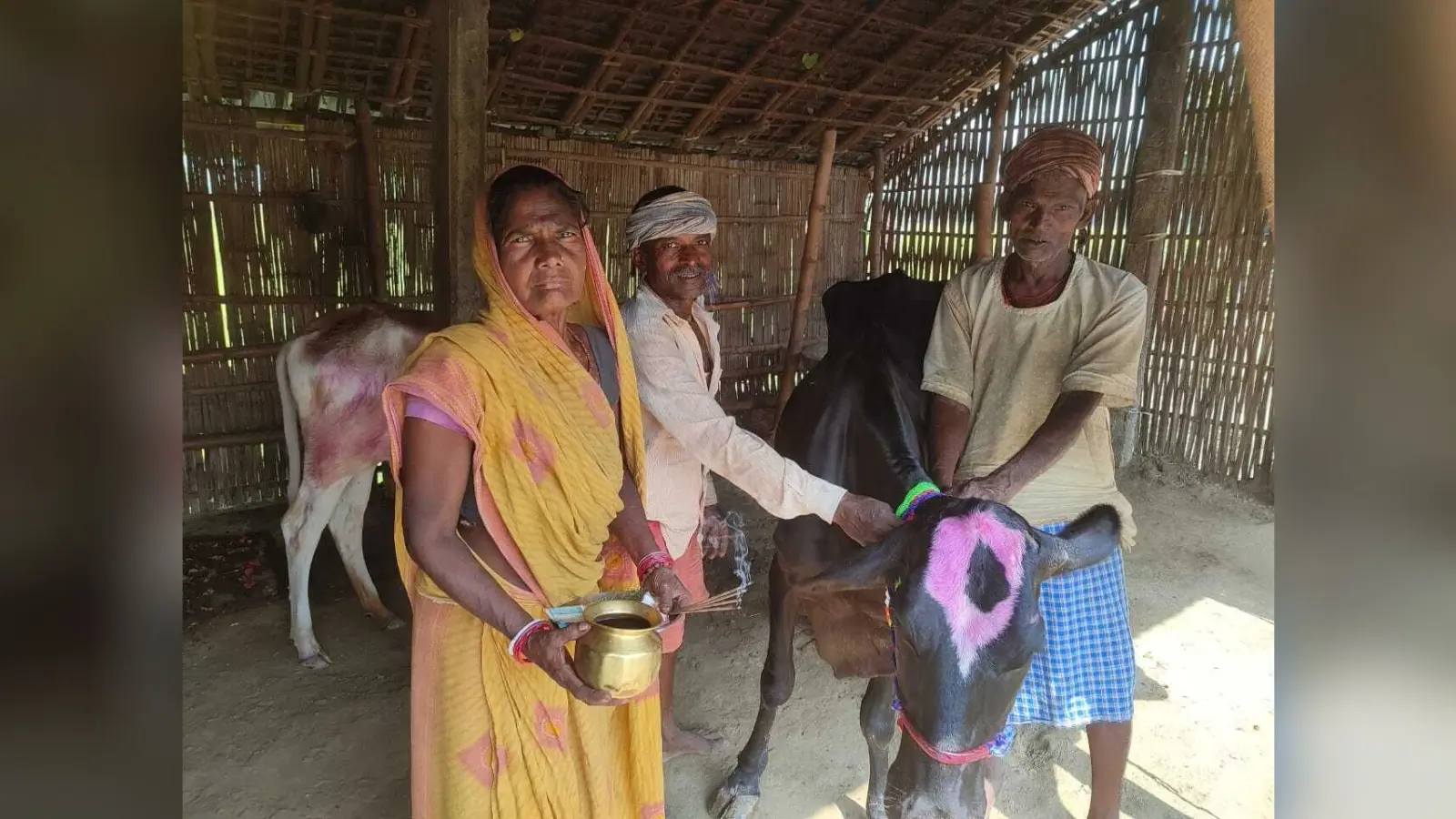 सिंग में तेल लगाकर श्रद्धा भाव से की पशुओं की पूजा