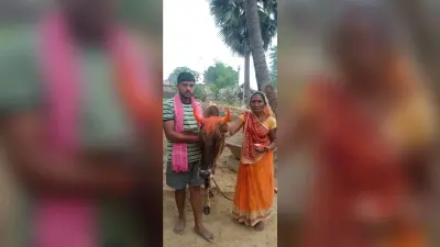गोवर्धन पूजा संपन्न, आज मनेगा भाई दूज व होगी भगवान चित्रगुप्त की पूजा