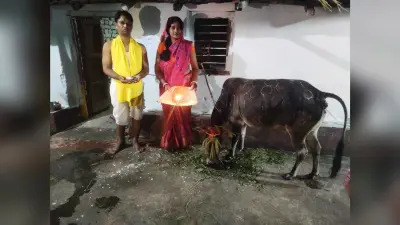 ग्रामीण क्षेत्रों में धूमधाम से मनाया गया सोहराय पर्व
