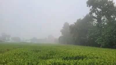 छठ से पहले मौसम का बदला मिजाज, घने कोहरे से ढका रहा जिला