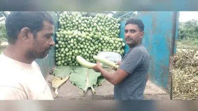 किसानों के लिए नजीर बने हैं रिटायर्ड फौजी राजेश