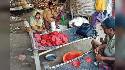 saran News:सारण में बने आरता के पत्तों की देश भर में होती है सप्लाइ
