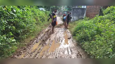 युवाओं ने छठ घाट जाने वाले रास्ते को बना दिया स्वच्छ