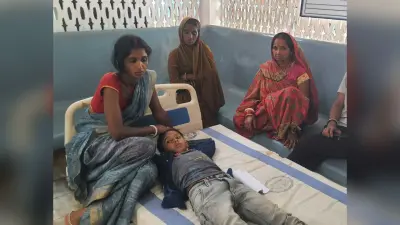 सड़क दुर्घटना में पैक्स अध्यक्ष का भतीजा व नाती हुए घायल