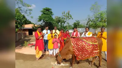 गोपाष्टमी : मां गिरिजा गोशाला में गोमाता की पूजा, गोपालक हुए सम्मानित