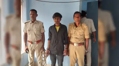 12 जनवरी से शुरू होगी फोकानिया व मौलवी की परीक्षा