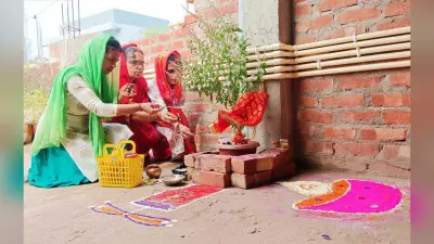 धूमधाम के साथ मनाया तुलसी विवाह