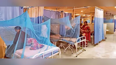 Gaya News : नवंबर में भी गर्मी पड़ने से कम नहीं हो रहा डेंगू का प्रकोप