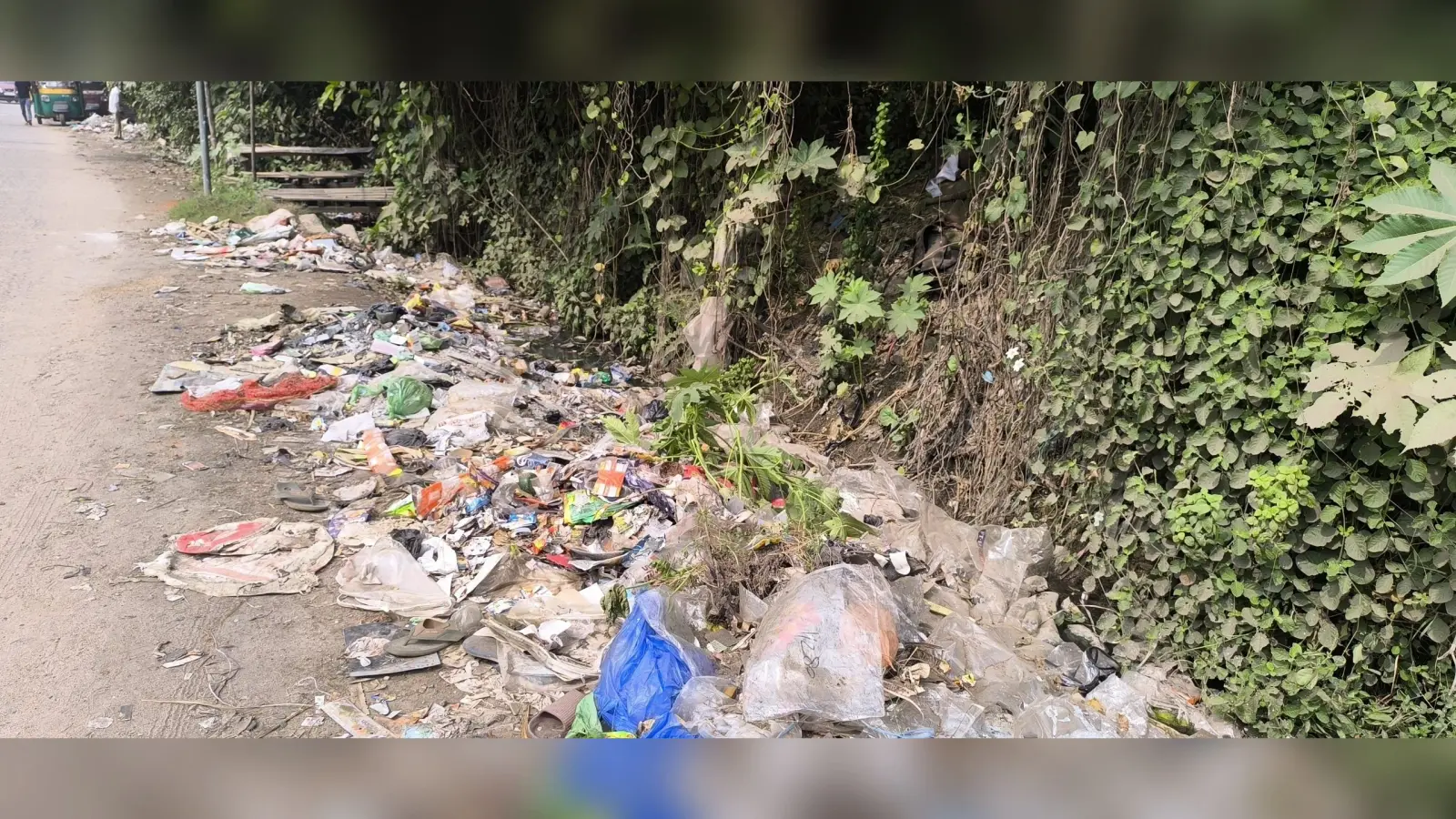 Giridih News: गंदगी से बजबजा रही है नालियां, दुर्गंध से लोग परेशान