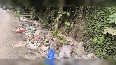 Giridih News: गंदगी से बजबजा रही है नालियां, दुर्गंध से लोग परेशान