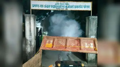 संग्रामपुर नगर पंचायत में मच्छर से मुक्ति को लेकर की जा रही फॉगिंग
