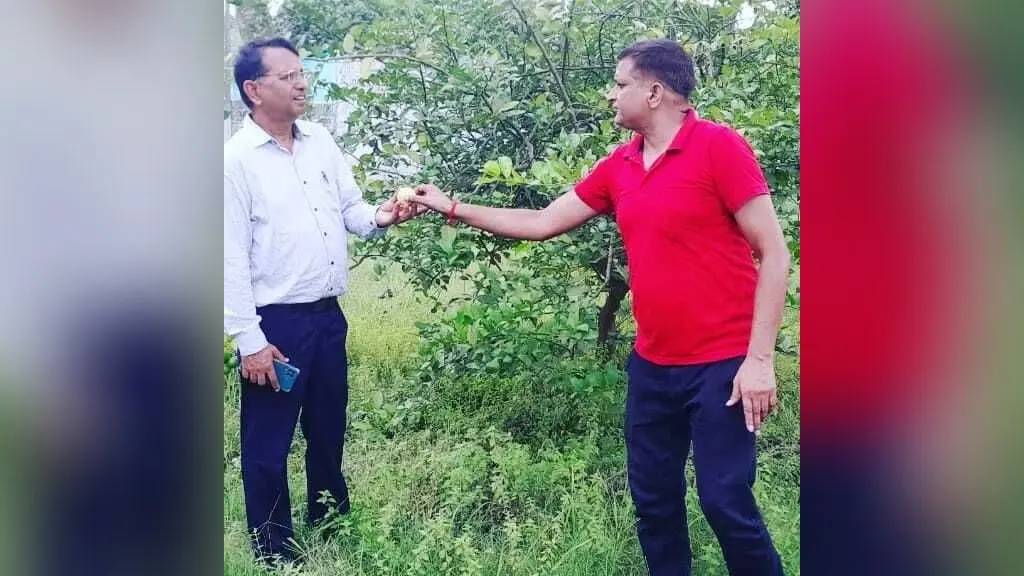 उद्यान विभाग के उप निदेशक ने खेरिया में बागवानी का लिया जायजा