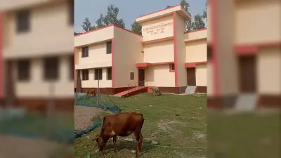 जानवरों का चारागाह बनता जा रहा हेल्थ एवं वेलनेस सेंटर शिवानंदपुर