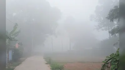 hajipur news. पछुआ हवा से बढ़ी ठंड, घने कोहरे से वाहनों की रफ्तार में आयी कमी
