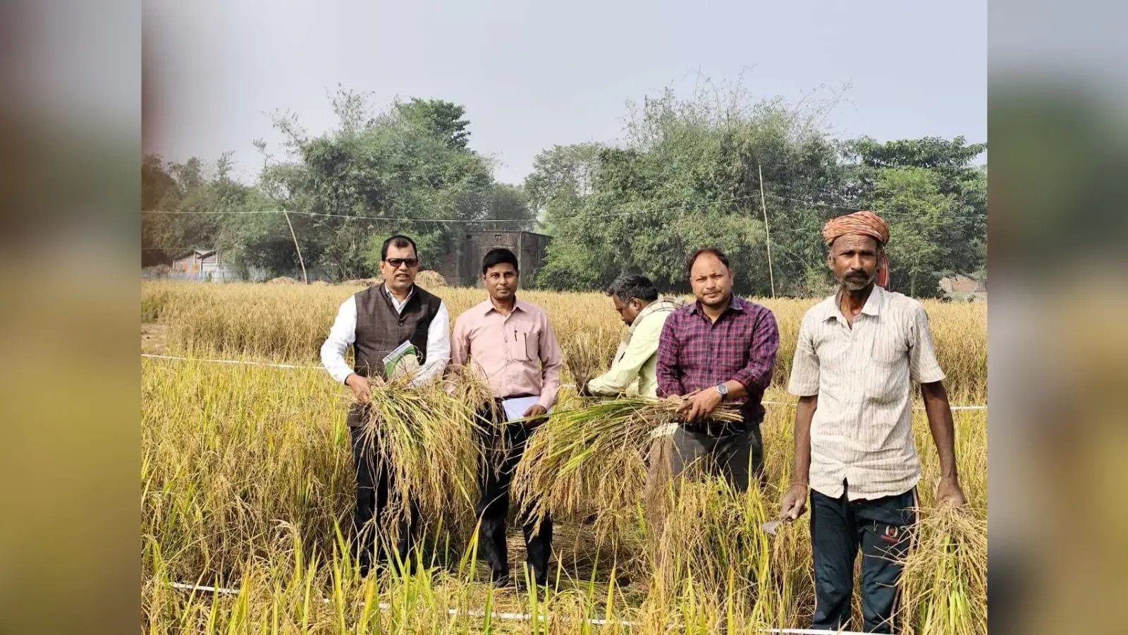 घोषई में जिला सांख्यिकी पदाधिकारी ने किया फसल कटनी प्रयोग