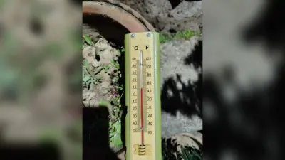 मैक्लुस्कीगंज में फिर लौटे कंपकंपाते दिन