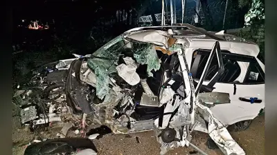 तेज रफ्तार कार पेड़ से टकारायी, कार में सवार चार घायल