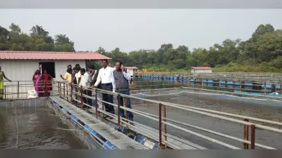 जिला मत्स्य पदाधिकारी ने किया केज कल्चर का निरीक्षण