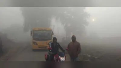 कोयलांचल में घने कोहरे ने बढ़ायी ठंड