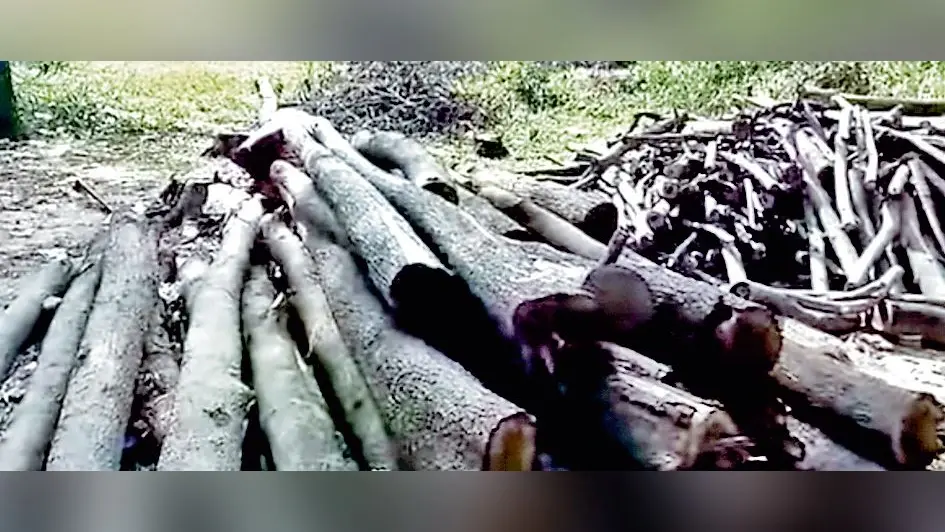 कांकसा : रघुनाथपुर में आदिवासी भूमि को बेचने का आरोप, जोर पकड़ता आदिवासी आंदोलन