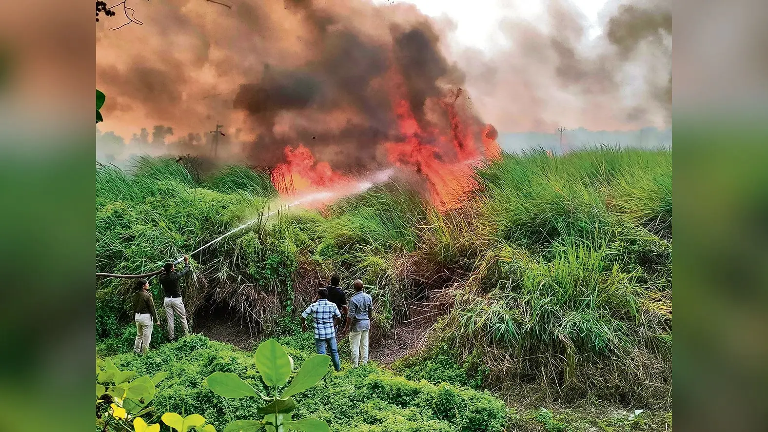 hajipur news. माधोपुर चंवर में इकरी के खेत में लगी आग