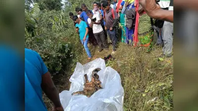 37 दिनों से लापता पूर्व उप प्रमुख का कंकाल बरामद