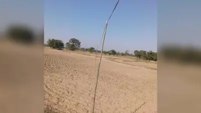 बांस-बल्ली के सहारे खेतों तक हो रही बिजली की आपूर्ति