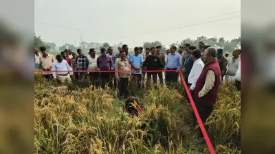 सब्जी उत्पादकों की समस्याओं पर अविलंब पहल की जरूरत : डीएम