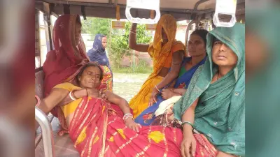 क्षेत्र में जंगली सूअर ने मचाया आतंक, आधा दर्जन जख्मी