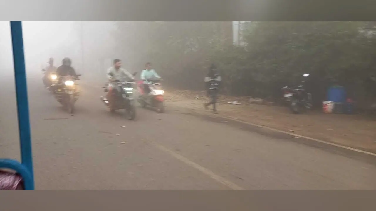 घने कोहरे ने धीमी की वाहनों की रफ्तार