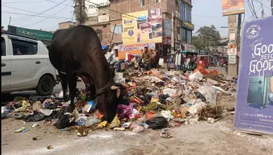 शहर में जगह-जगह कचरे एवं गंदगी का अंबार
