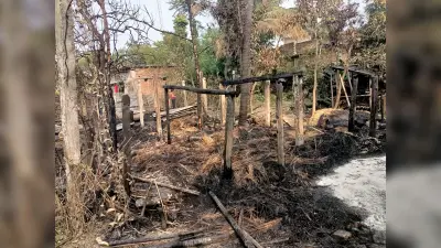 आग लगने से चार घर जले, तीन मवेशियों की मौत