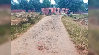 चापुड़िया पंचायत की मुख्य सड़क जर्जर, आवाजाही में परेशानी