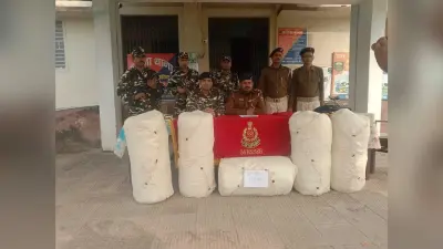 175 किलो गांजा जब्त, तस्कर फरार